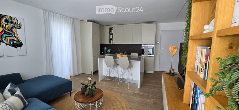 2.5-room apartment in Manno (2)