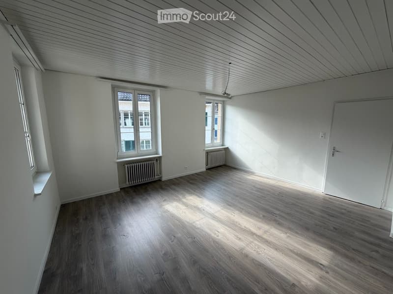 6.5-Room Single-Family Home Completely Renovated in Frenkendorf (4)