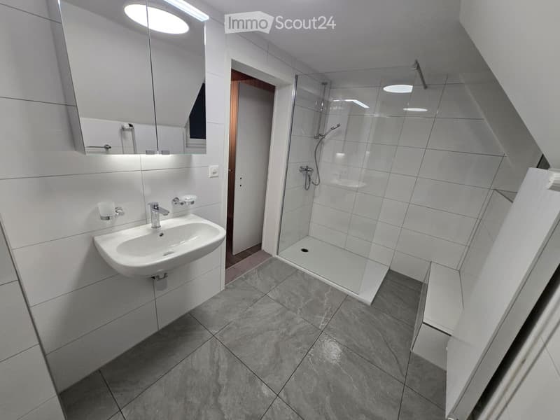 6.5-Room Single-Family Home Completely Renovated in Frenkendorf (2)