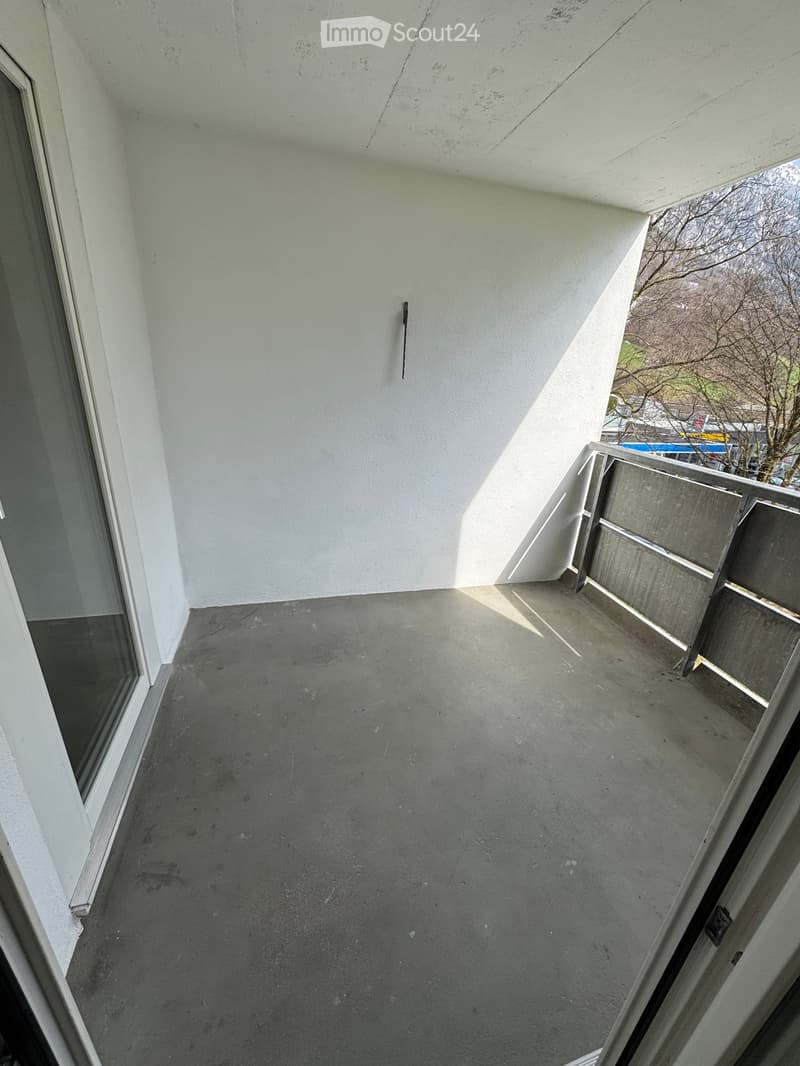 Beautiful 3.5-room apartment in Glarus (5)