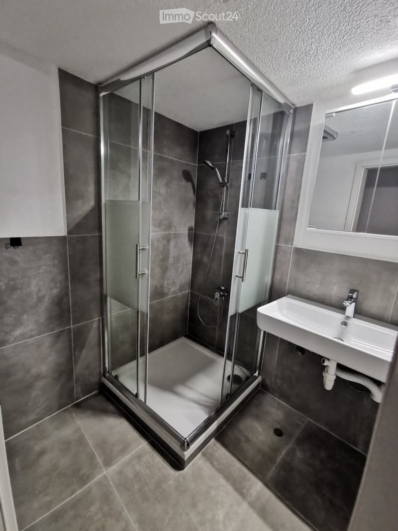2 ½ room apartment on the ground floor (5)
