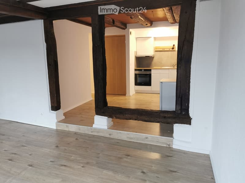2 ½ room apartment on the ground floor (4)