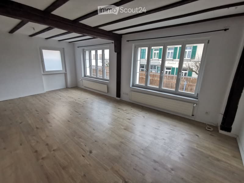 2 ½ room apartment on the ground floor (2)