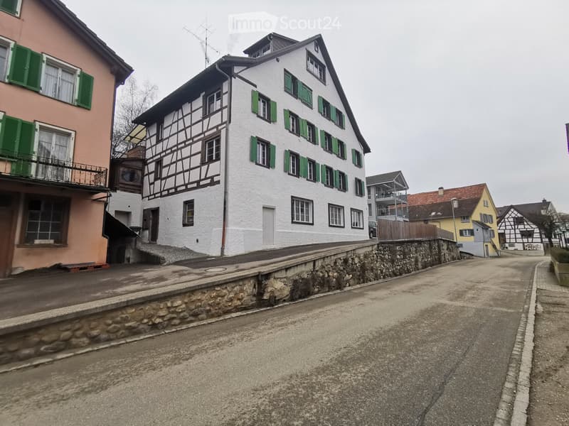 2 ½ room apartment on the ground floor (1)