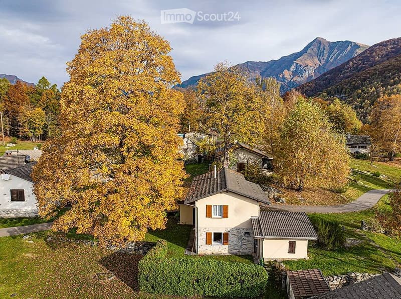 House for sale in Monti Motti (1)
