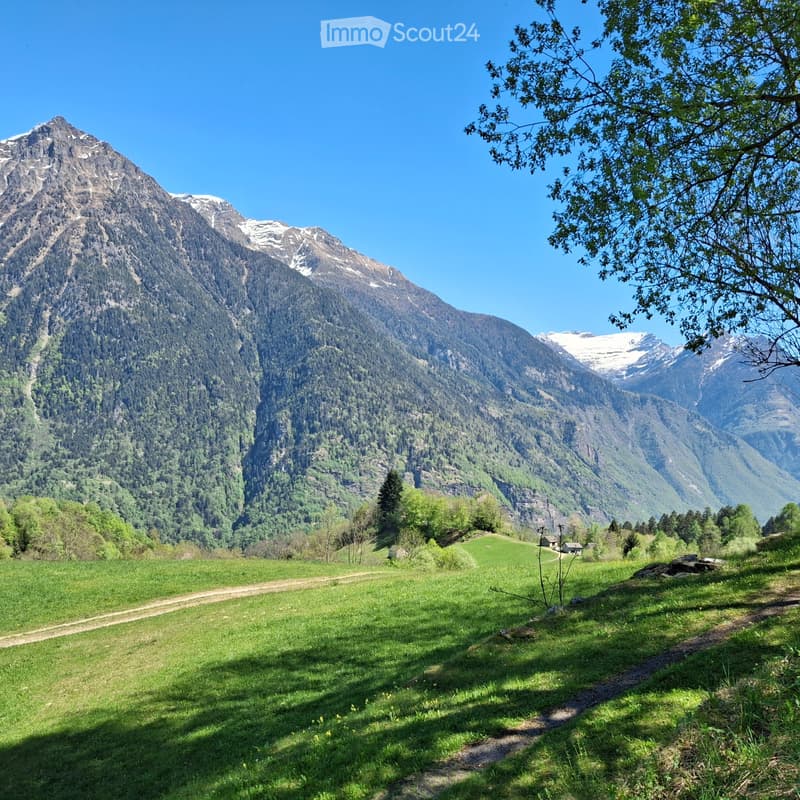 Rustico a Leontica (Valle Blenio) da ristrutt./zum Umbauen (5)