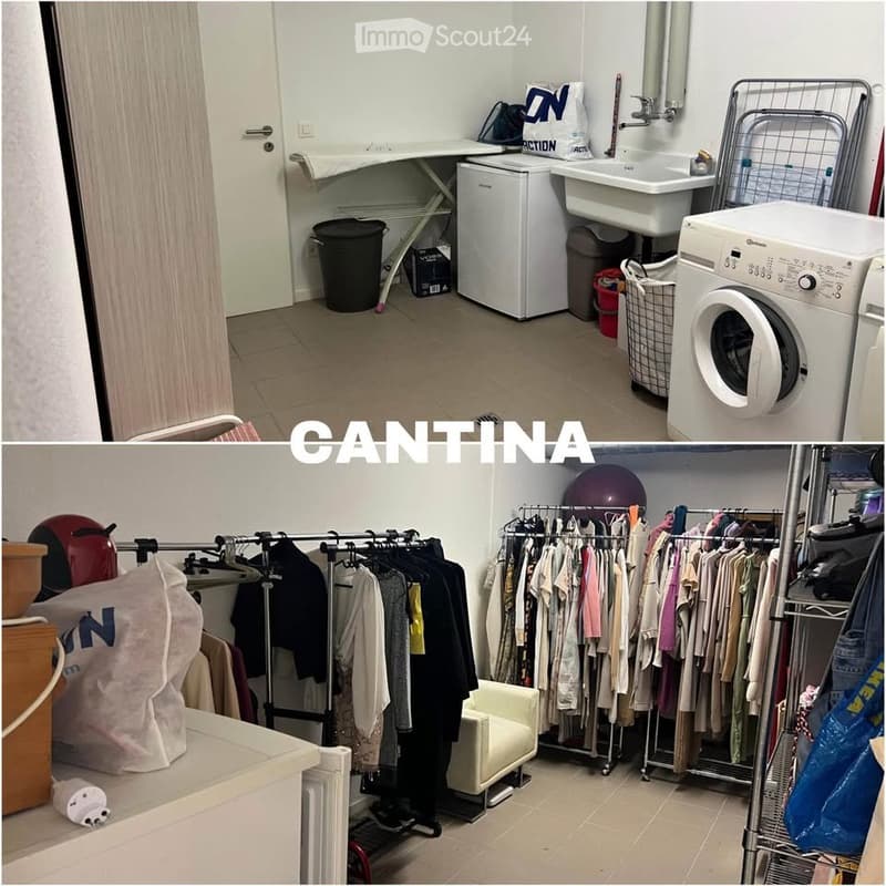 Subletting a 3.5-room apartment in Arbedo (124 m²) (3)