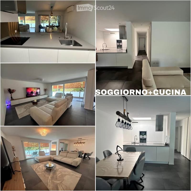 Subletting a 3.5-room apartment in Arbedo (124 m²) (2)
