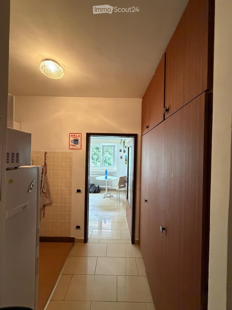 Monolocale 1.5 Lugano Zentrum (4)