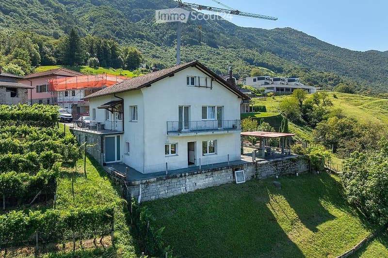 Helles 4.5-Zimmer-Wohnung in Doppelhaushälfte mit Seeblick (1)
