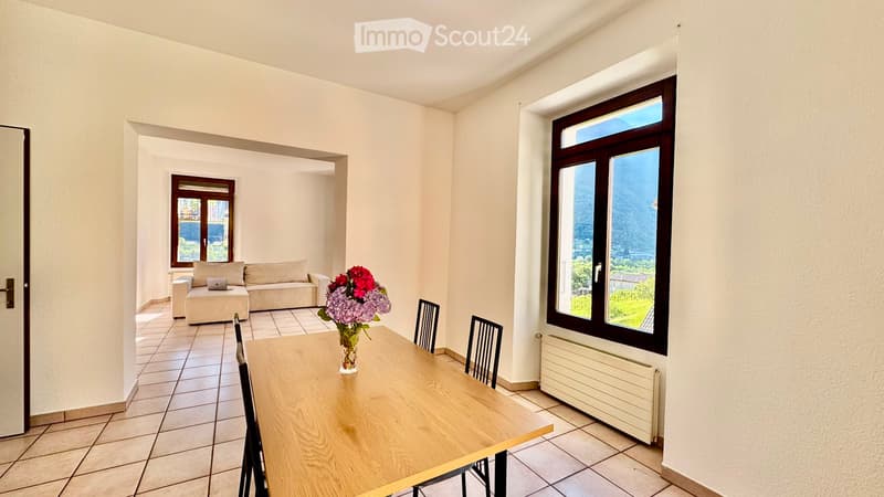 Erdgeschosswohnung in Semione/Serravalle (1)