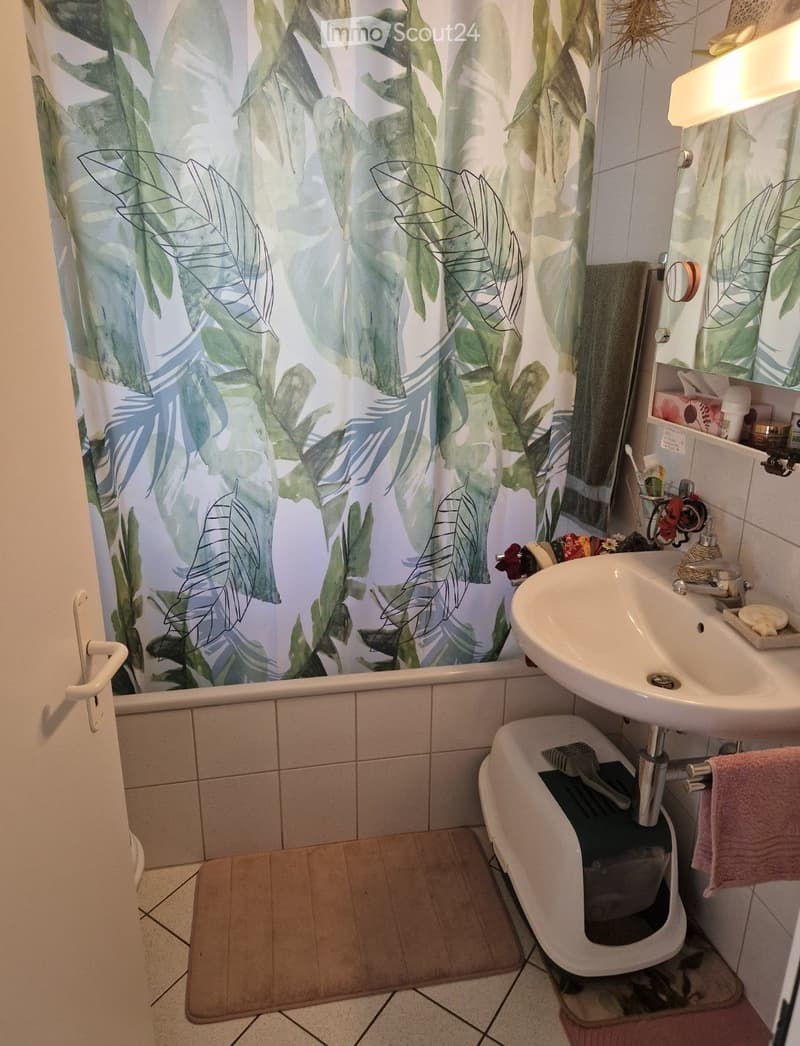 Appartement in Ronchini in Vallemaggia (4)