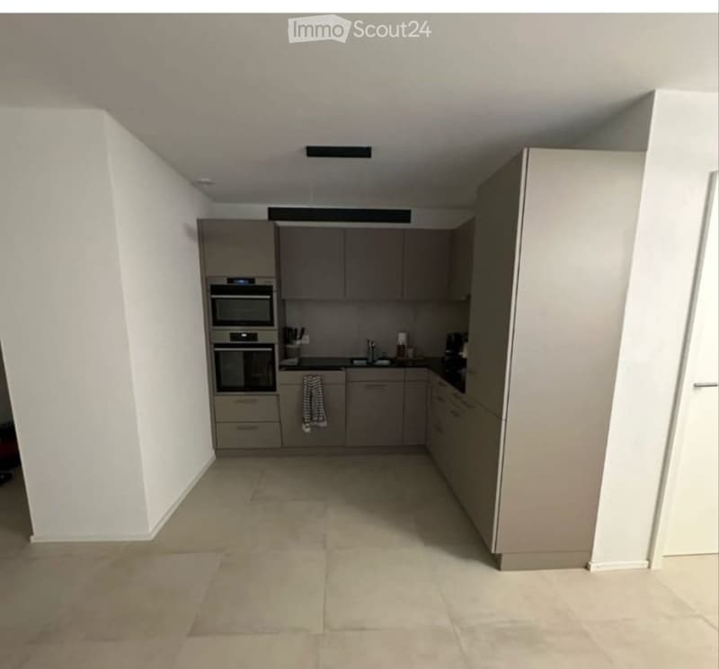 Schönes 3,5-Zimmer-Appartement mit großer Terrasse in Gibloux (5)