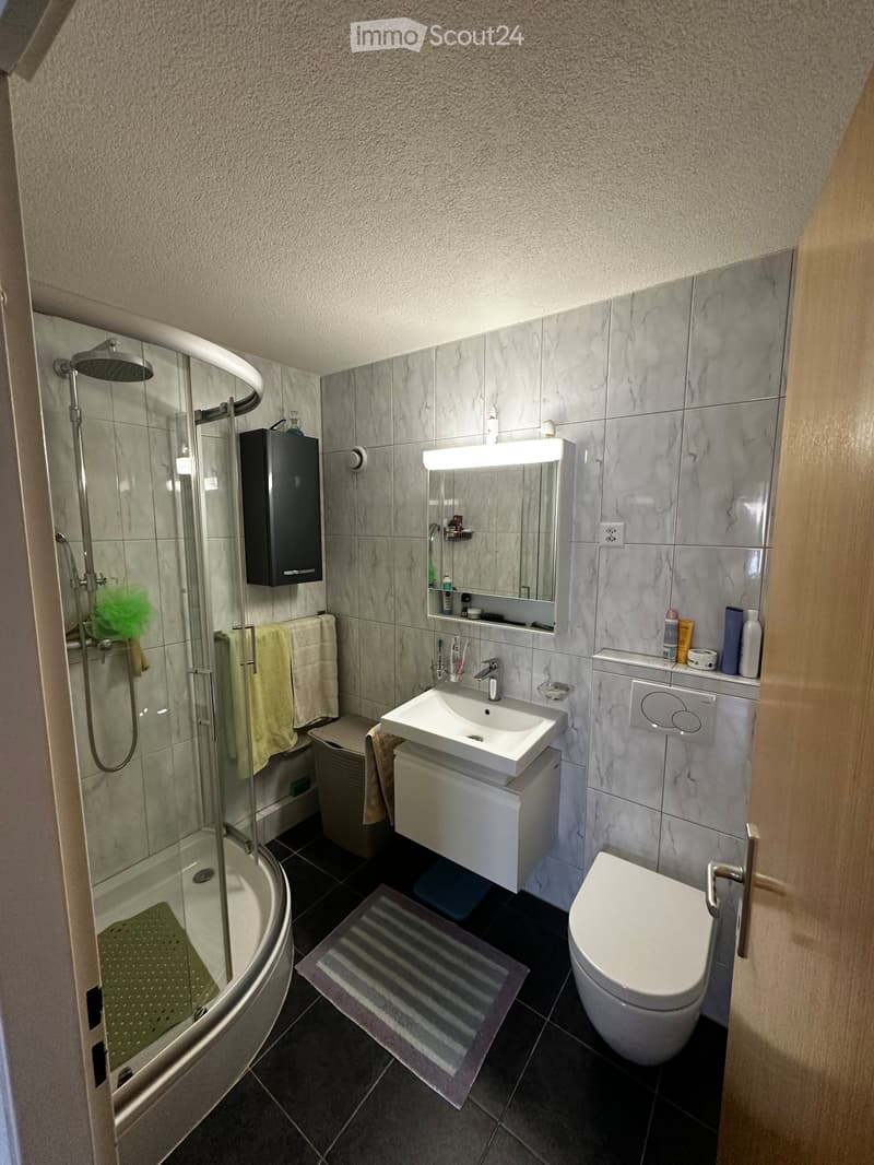 4 Zimmer Wohnung im Herzen Reinachs (5)