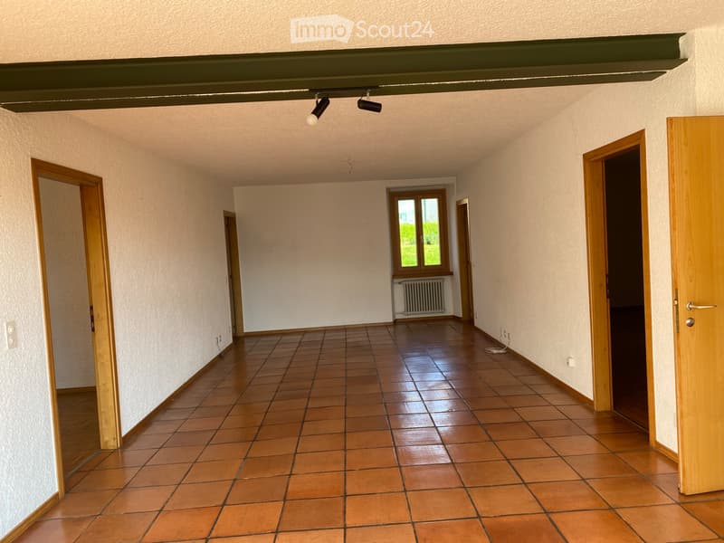 San Pietro di Stabio - Wohnung 4.5 Zimmer zu vermieten (5)