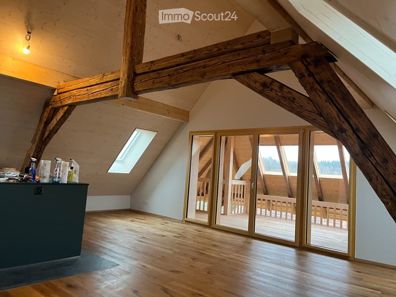 Erstvermietung Dachwohnung im historischen Bauernhaus (5)