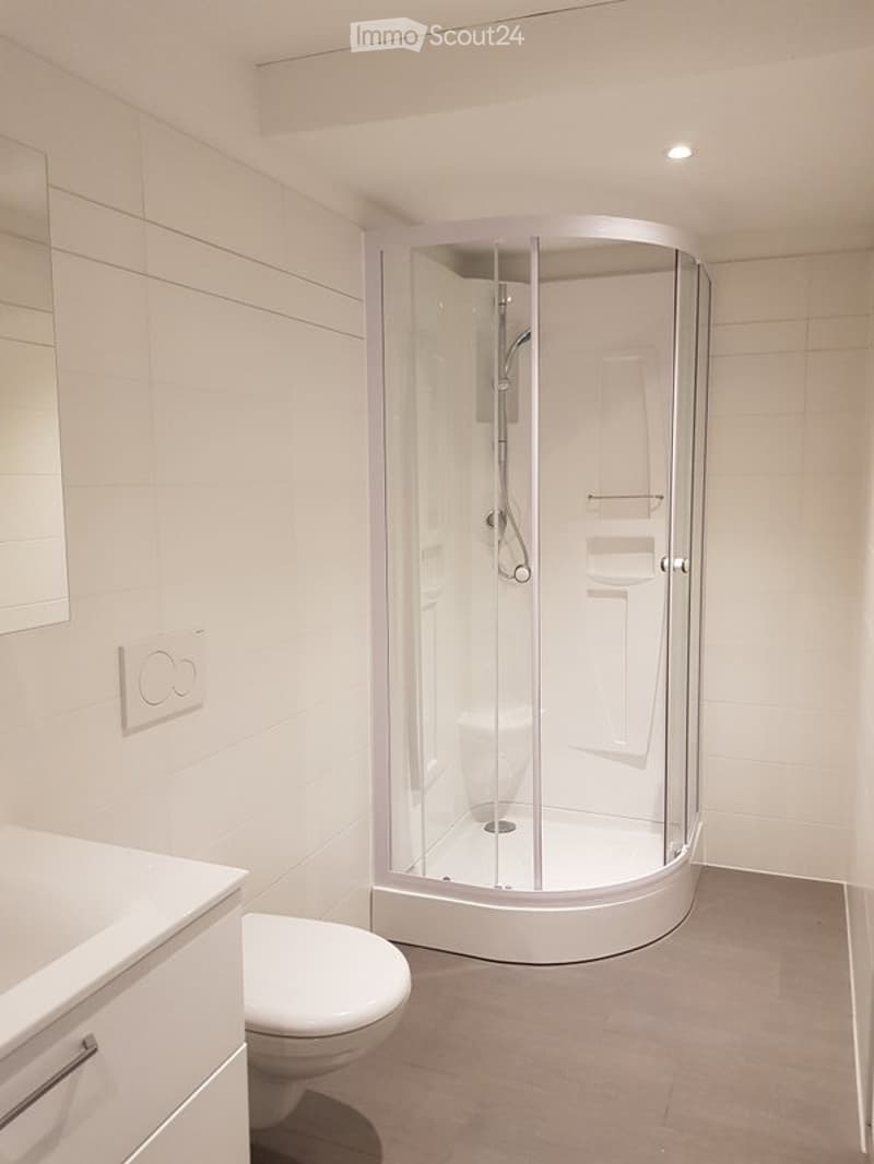 Appartement zu vermieten (2)