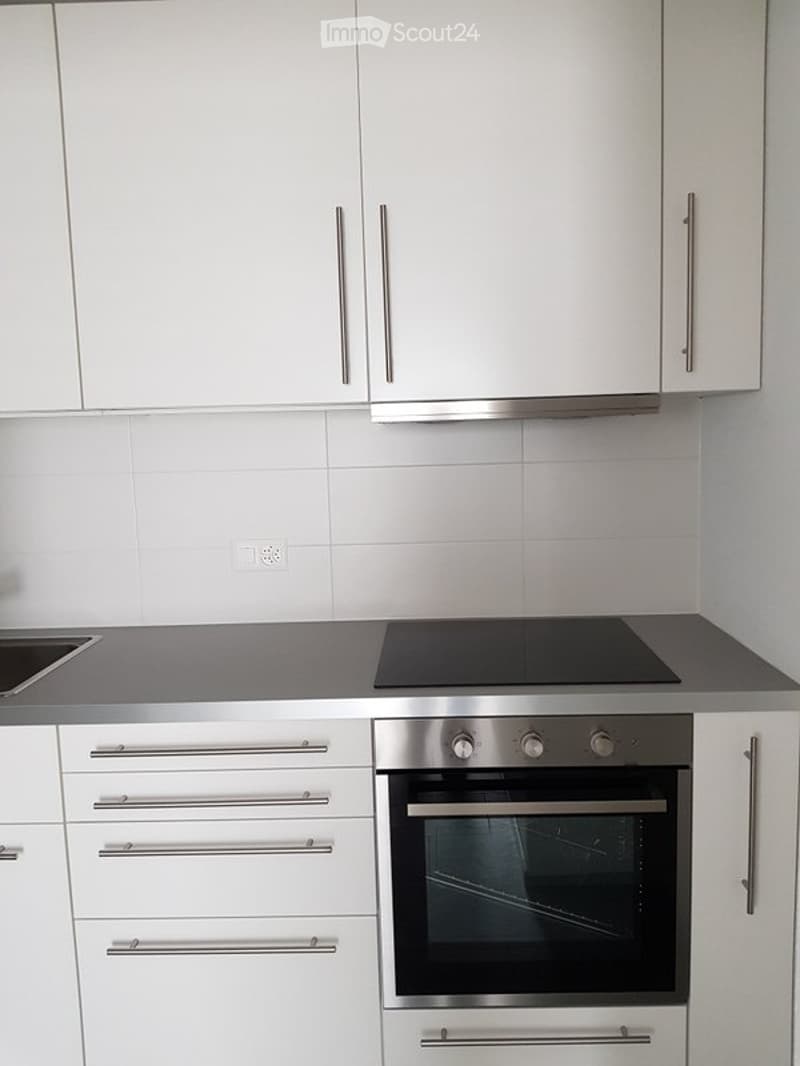 Appartement zu vermieten (3)