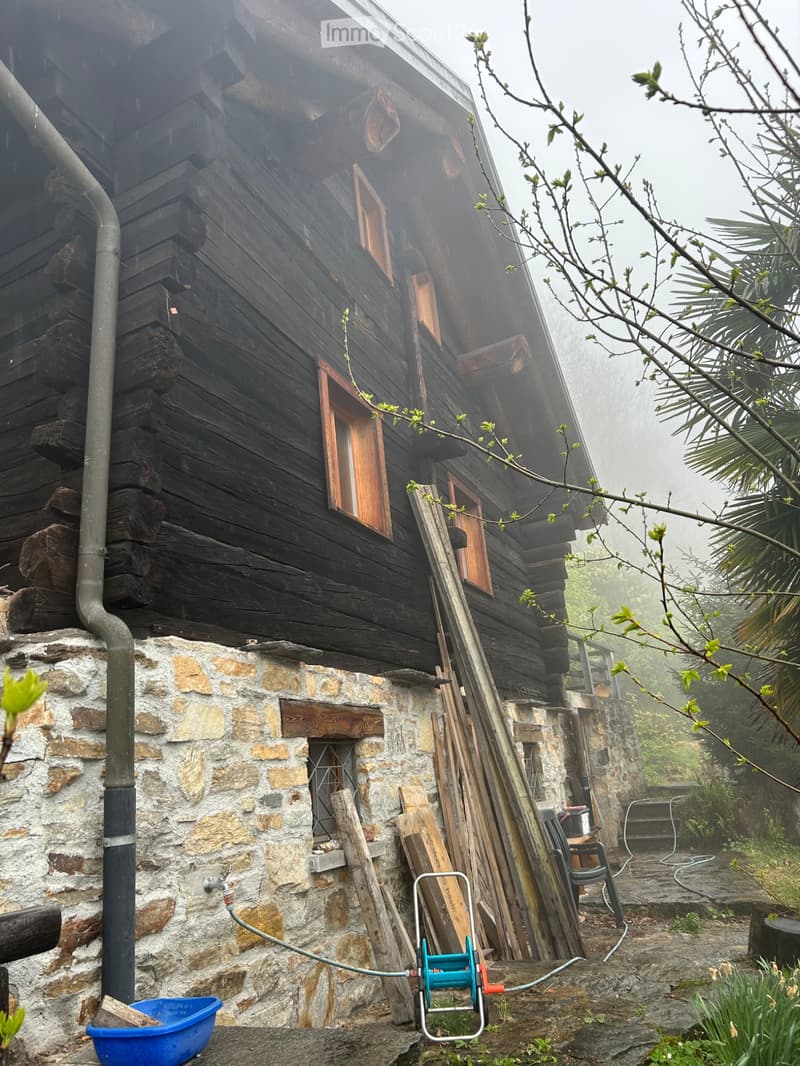 Affitto casa unifamiliare nel verde (1)