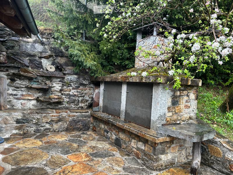 Affitto casa unifamiliare nel verde (5)