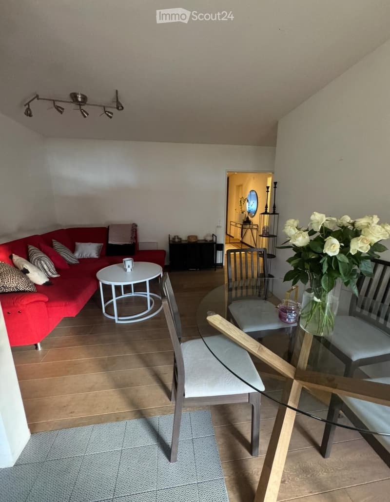 Shared room in 2-person shared apartment Zurich Downtown (3)