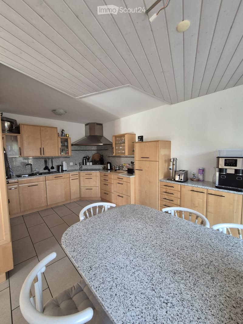 4.5 room apartment with garden (4)