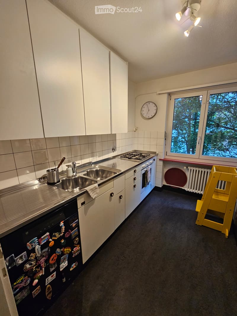 Tauschwohnung Äusseres Lind Winterthur (2)