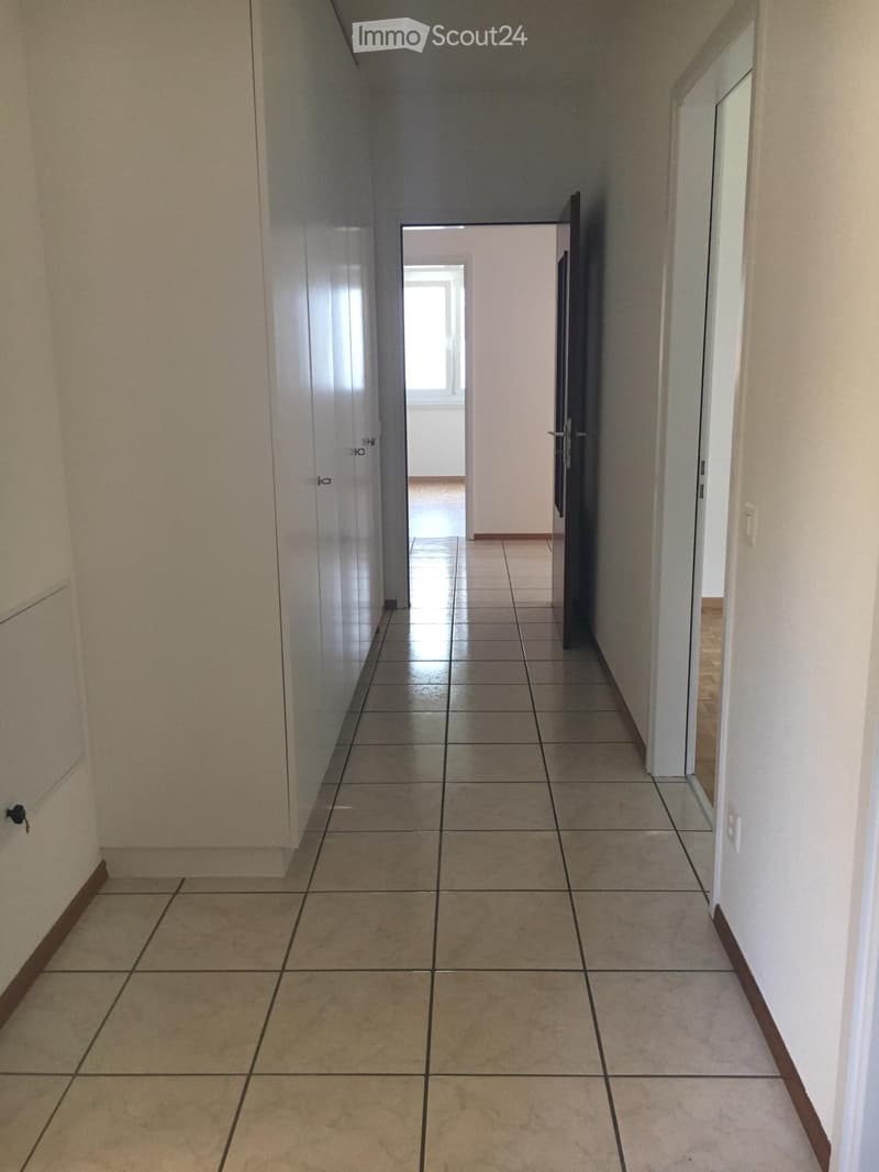 For rent in Giubiasco Pedevila (5)