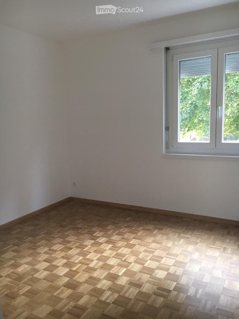 For rent in Giubiasco Pedevila (4)