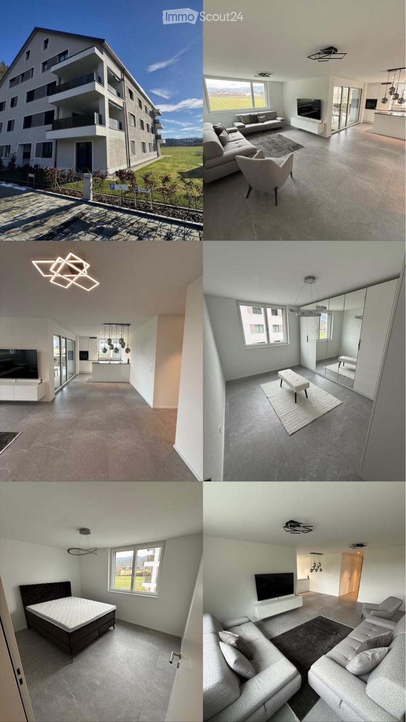 3.5 Room New-Build Apartment with a View - Turbenthal (1)
