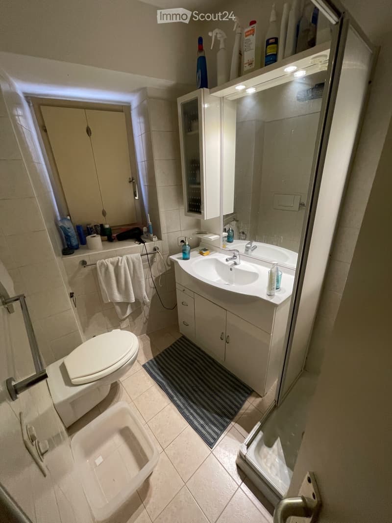 Subentrante gesucht - Einzimmerwohnung in Melide (1)