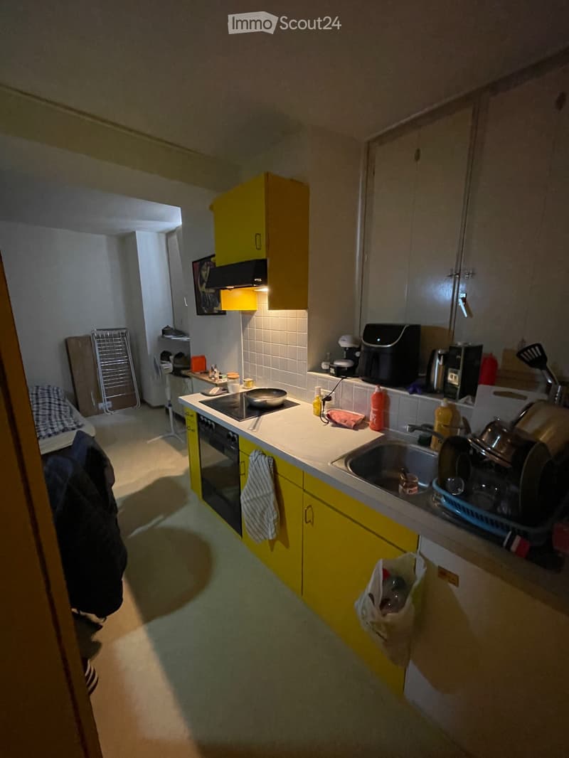 Subentrante gesucht - Einzimmerwohnung in Melide (3)