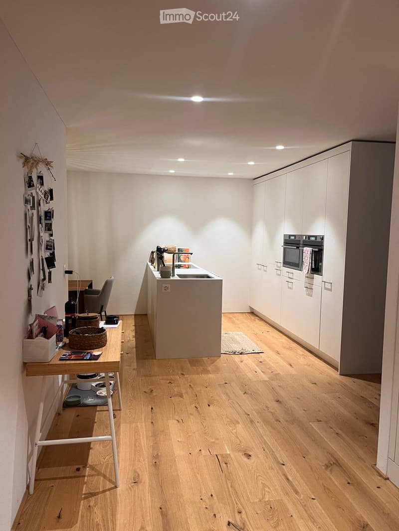 Appartamento 4,5 locali (2)