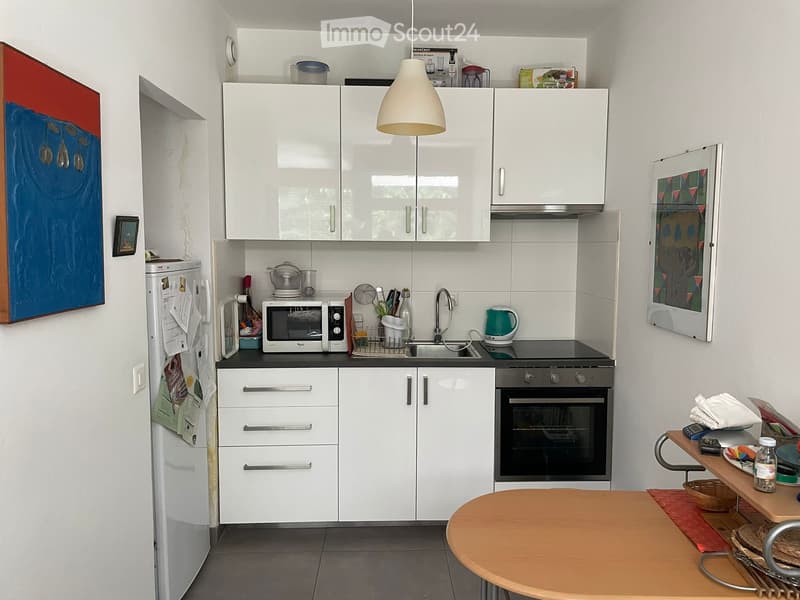 Gesucht: Einziehender für geräumiges Einzimmerapartment in Lugano Loreto (2)
