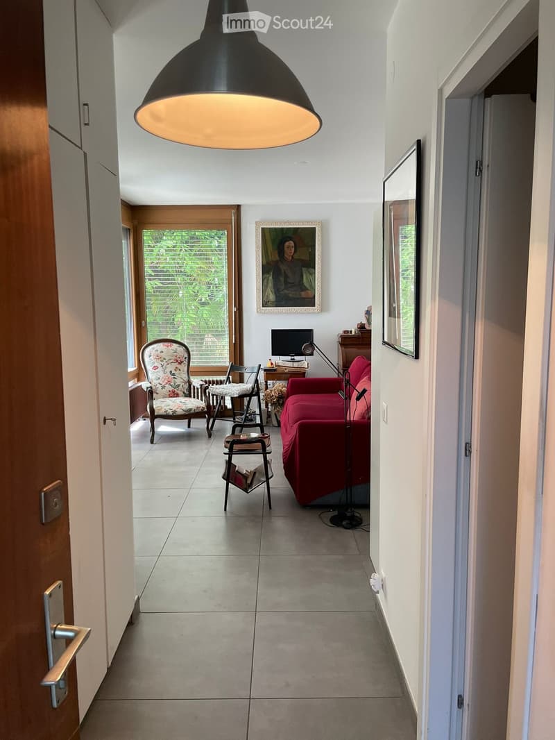 Gesucht: Einziehender für geräumiges Einzimmerapartment in Lugano Loreto (4)