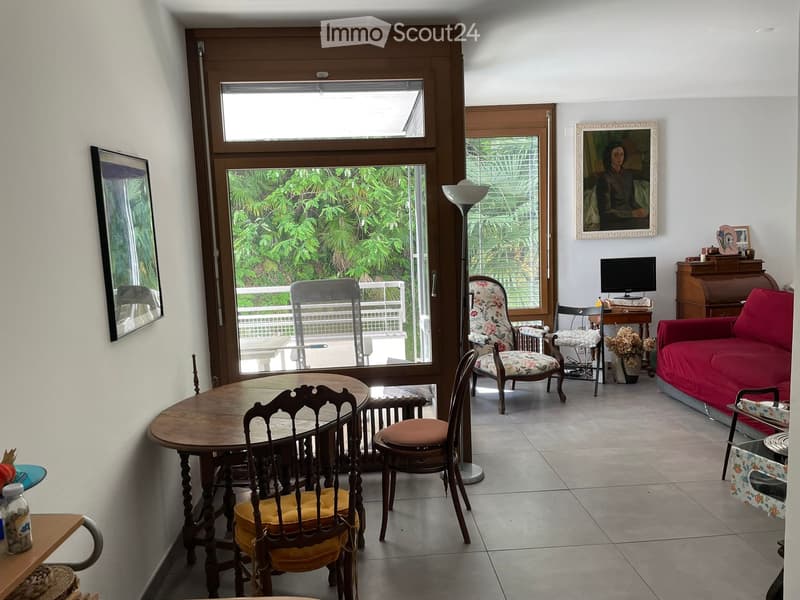 Gesucht: Einziehender für geräumiges Einzimmerapartment in Lugano Loreto (3)
