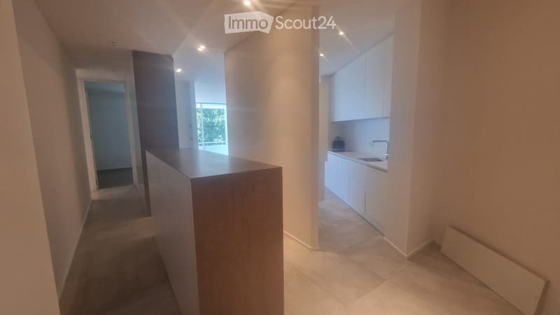 Schönes 3.5-Zimmer-Apartment am Seeufer von Muralto (6)