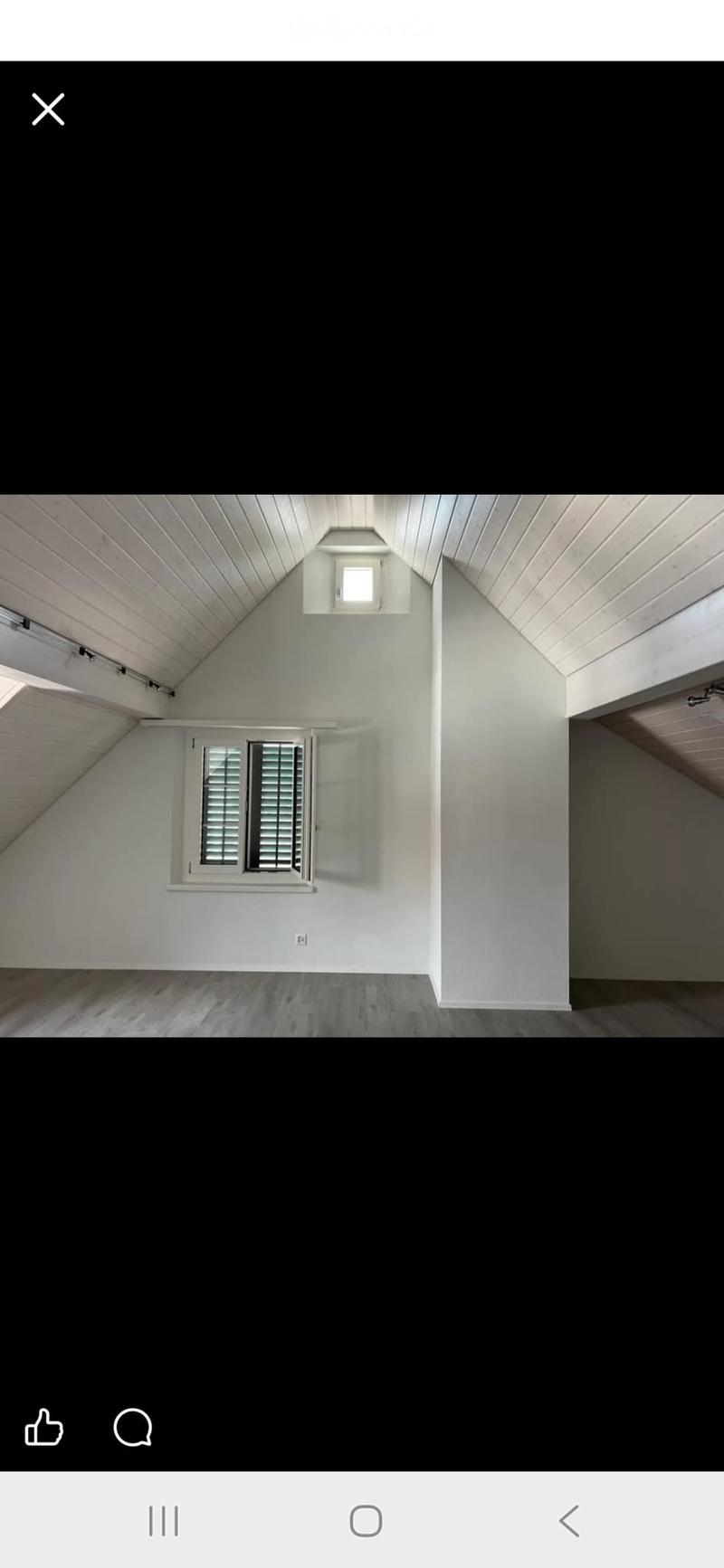 Grosszügige Dachwohnung (4)