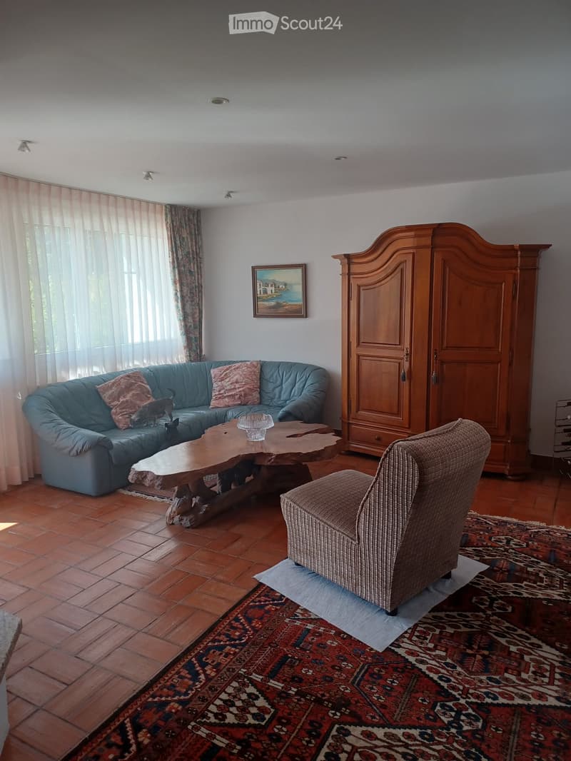 Einfamilienhaus mit Pool und grossem Garten in Caslano (5)