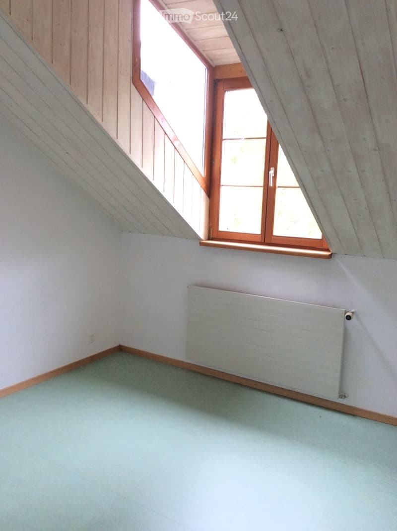 Grosse helle Dachwohnung im ehemaligen Bauernhaus (3)
