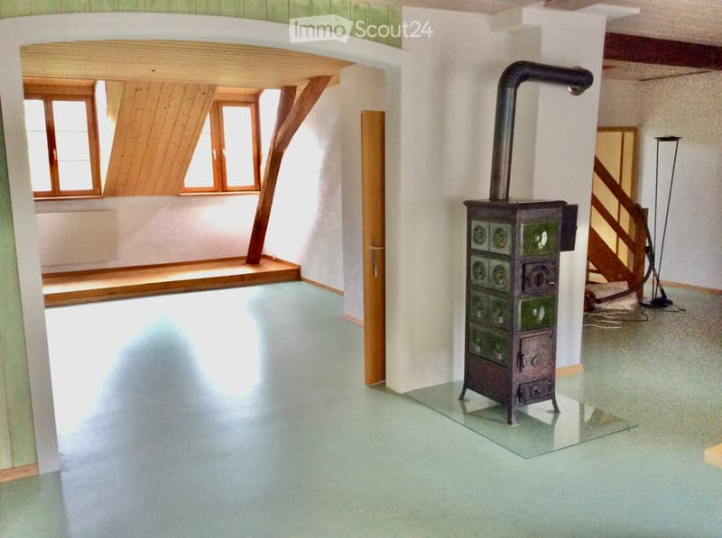 Grosse helle Dachwohnung im ehemaligen Bauernhaus (5)