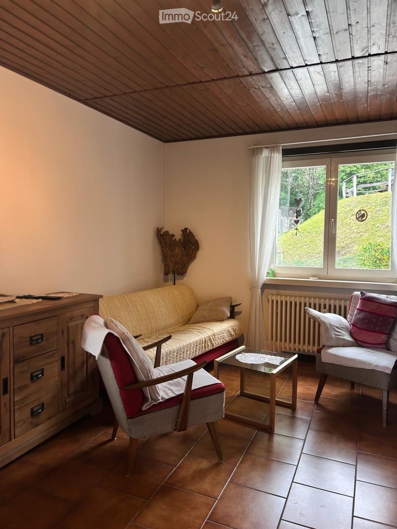 Wir suchen einen Nachmieter für eine Wohnung im Grünen in Vaglio (4)