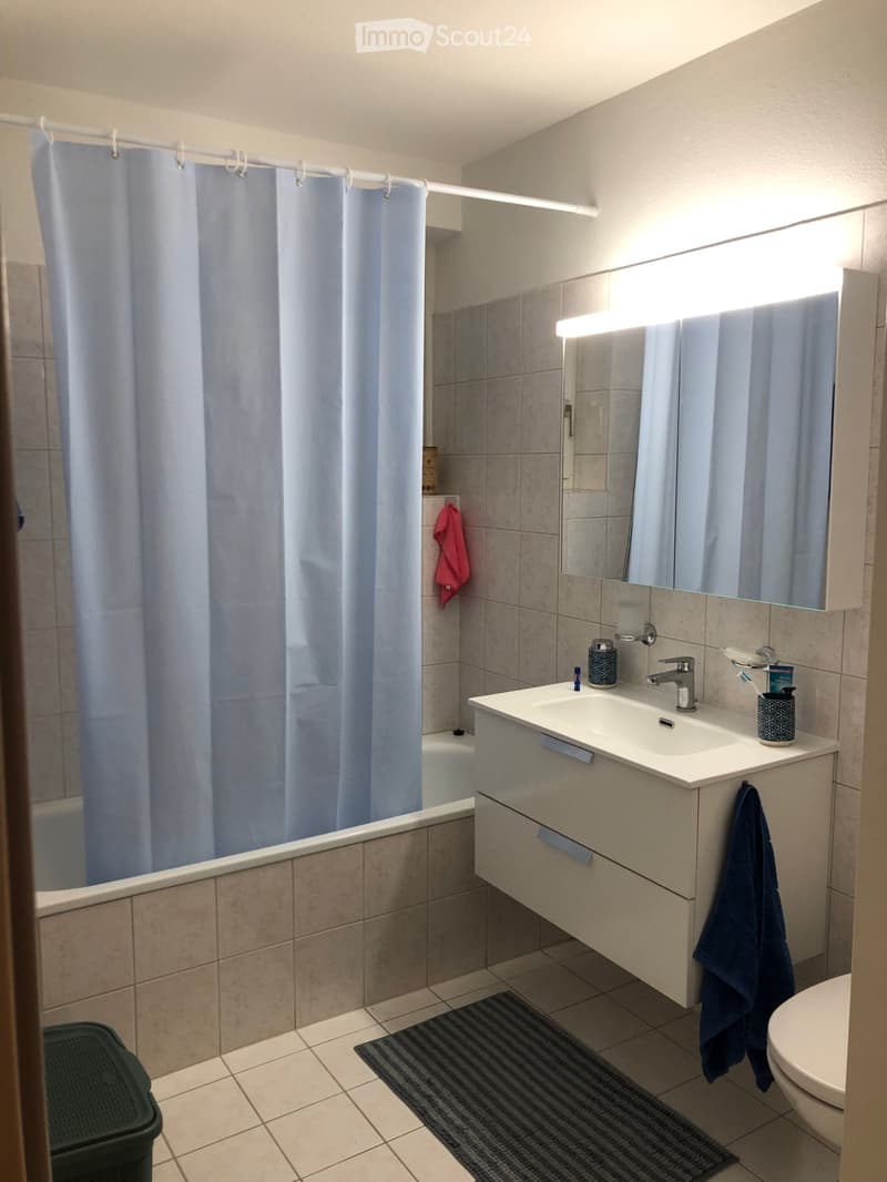 Wunderschöne 2.5 / Stupendo appartamento 2.5 a San Nazzaro (2)