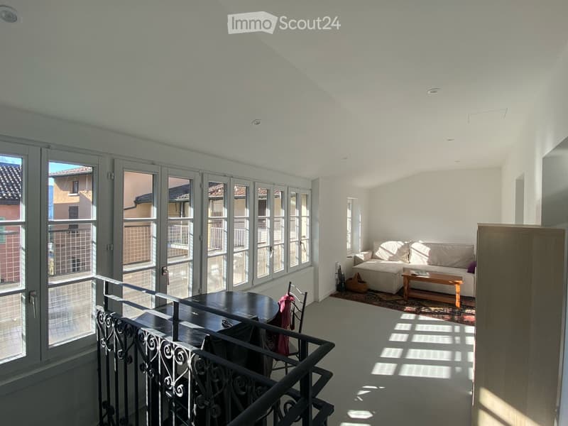 I'm looking for a roommate (5)