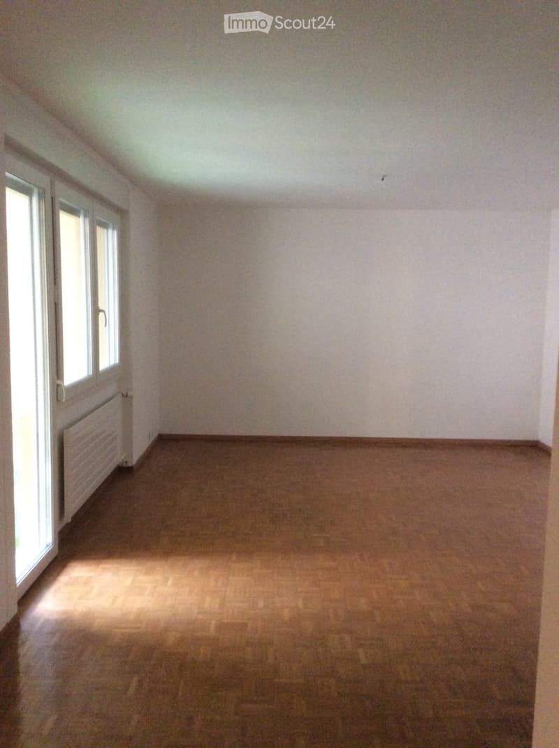 Spacious 2.5 rooms in Neuchâtel + terrace without vis-à-vis (2)