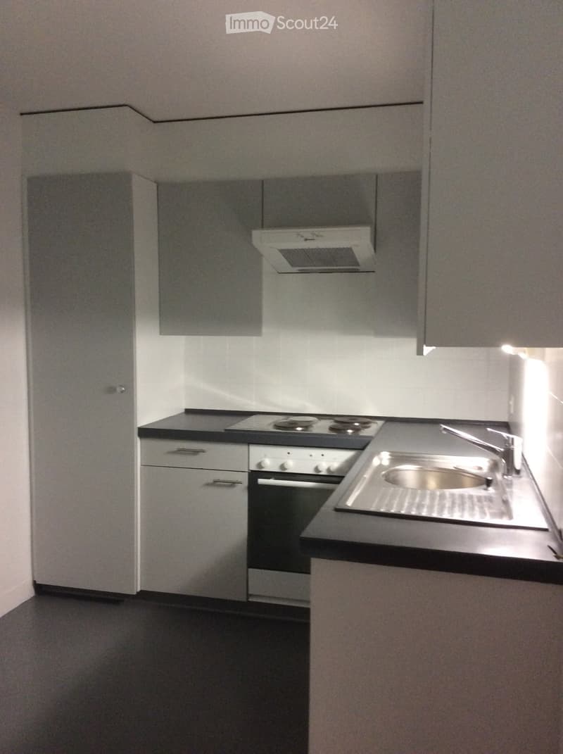 Spacious 2.5 rooms in Neuchâtel + terrace without vis-à-vis (4)
