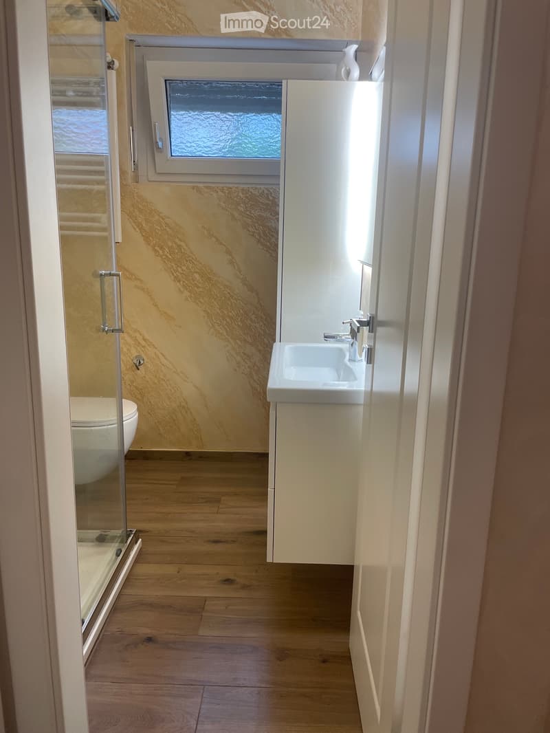 Wohnung 4.5 (5)