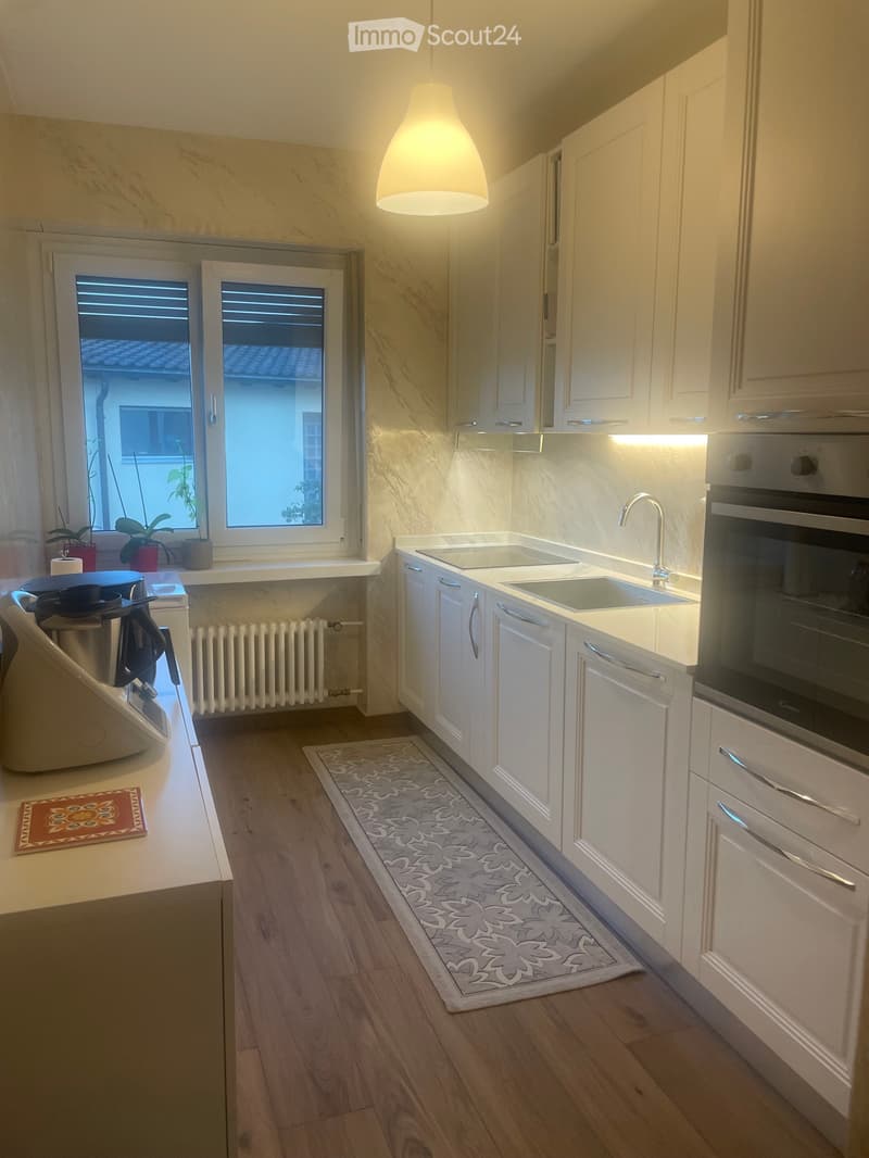 Wohnung 4.5 (1)