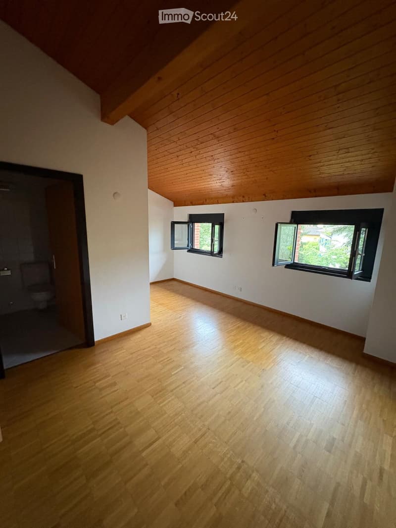 Affittiamo appartamento piano attico (2)
