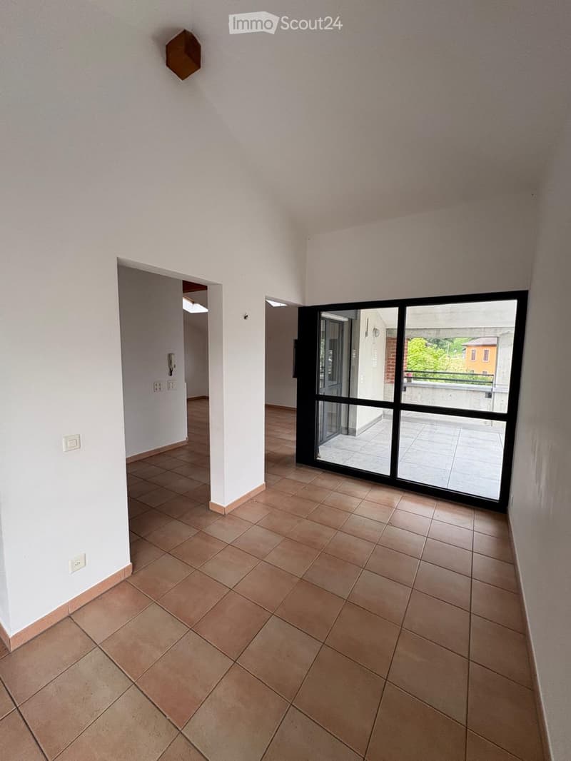 Affittiamo appartamento piano attico (5)